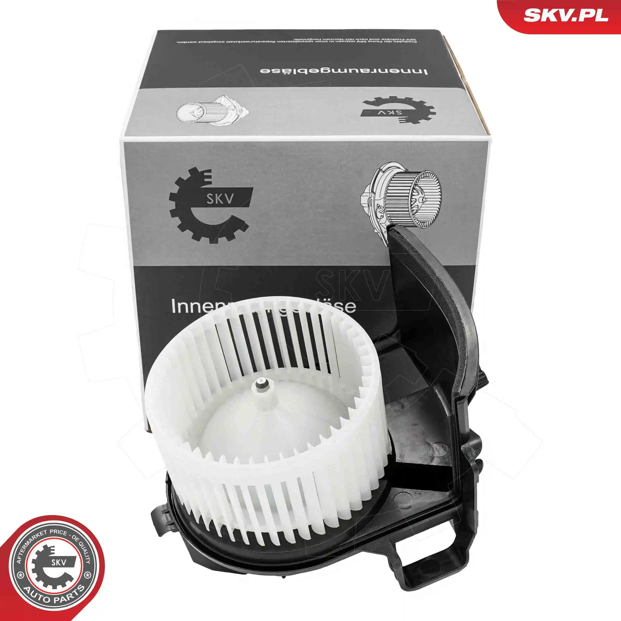 Interior Blower